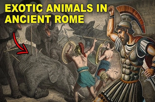 Ancient Rome was an exporter of exotic animals from India.