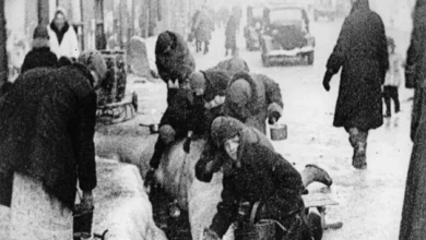 Streets of besieged Leningrad