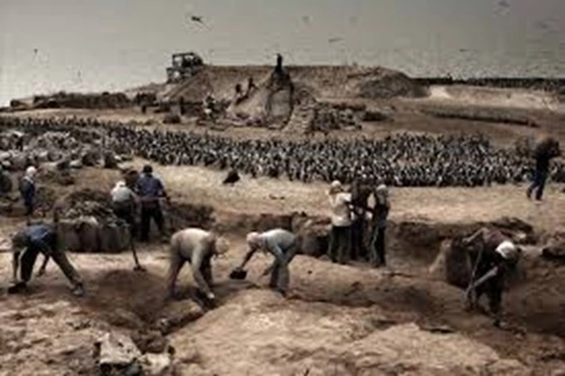 At first, guano was mined on the island, but this later turned out to be unprofitable.
