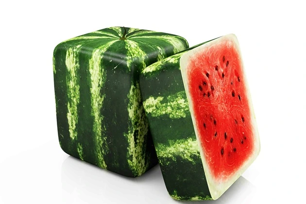 Square watermelons
