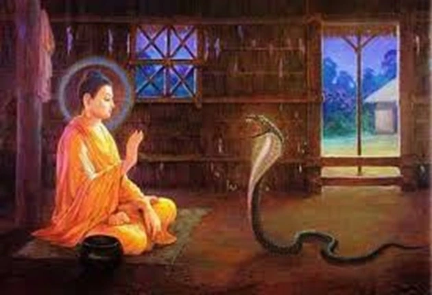 Naga is a serpent serving Buddha