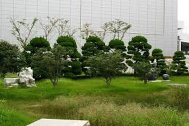 Busan Olympic Park