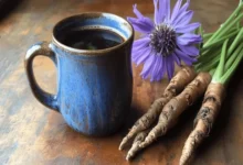 Chicory drink