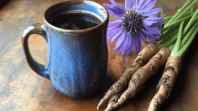 Chicory drink