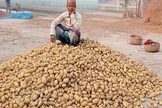 Potato crop failure paralyzed the country.