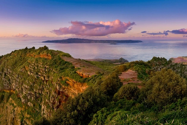This is what the island's vegetation looked like in the early 2000s.