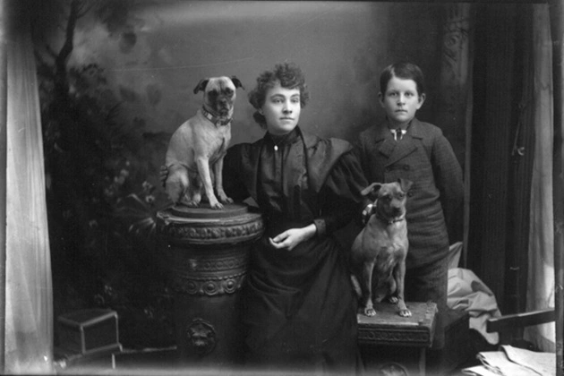 Dogs have been a part of aristocratic life for centuries