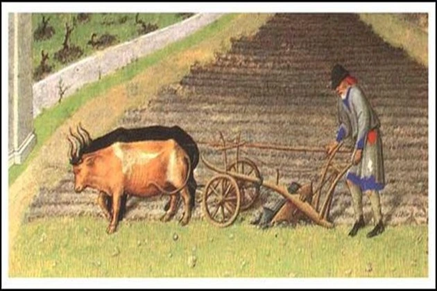 During the Middle Ages, many technologies were invented that allowed agriculture to develop.
