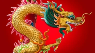 In China, the dragon represents the best qualities.