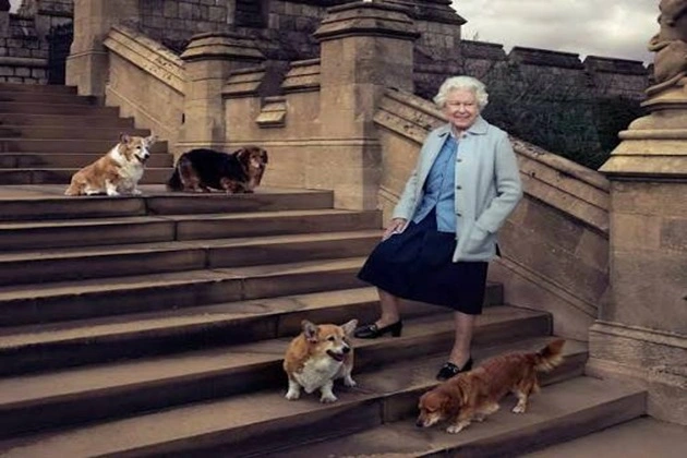 Queen Elizabeth II with her corgis
