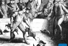 Entertainment rat baiting.