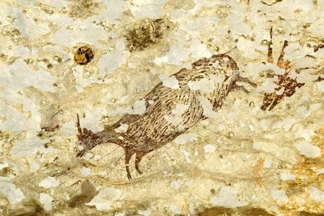 Rock art from Liang Bulu Sipong 4 Cave on Sulawesi Island, Indonesia
