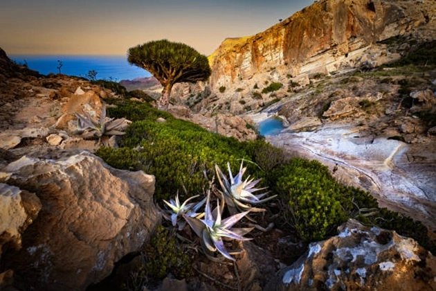 Socotra
