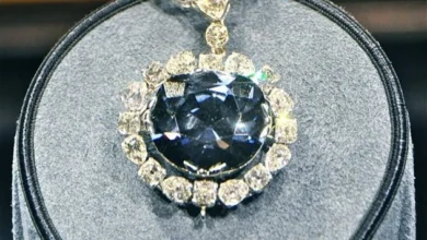The magnificent Frenchman Blue diamond, later known as the Hope Diamond