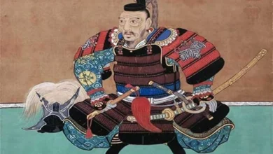 Toyotomi Hideyoshi, the great shogun.