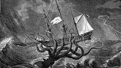 Kraken