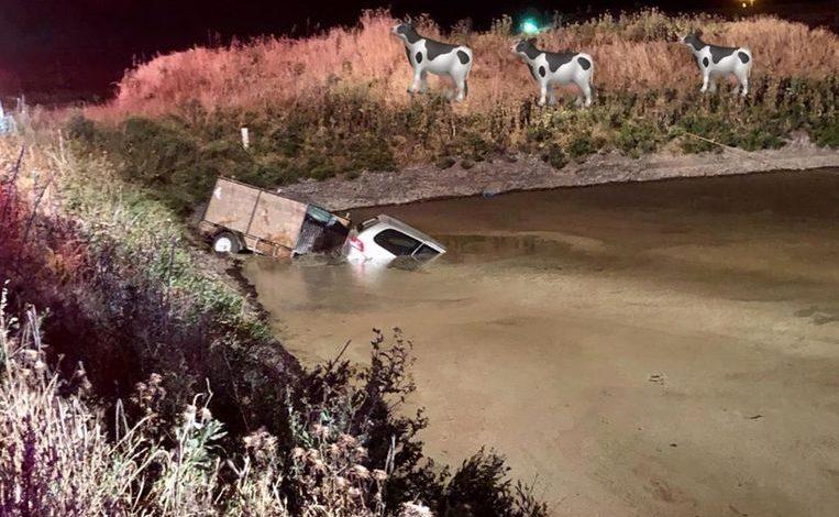 Drunk driver end up inside a large pool of liquid shit